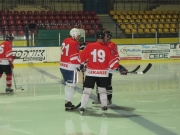 Hokej 2011
