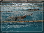 Pływanie 2011