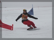Snowboard 15