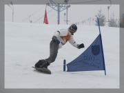 Snowboard 20