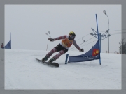 Snowboard 28