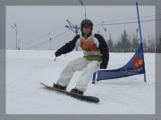 Snowboard 30